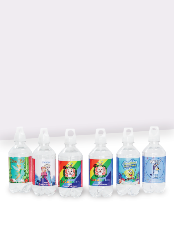 Bottled Water 330ml